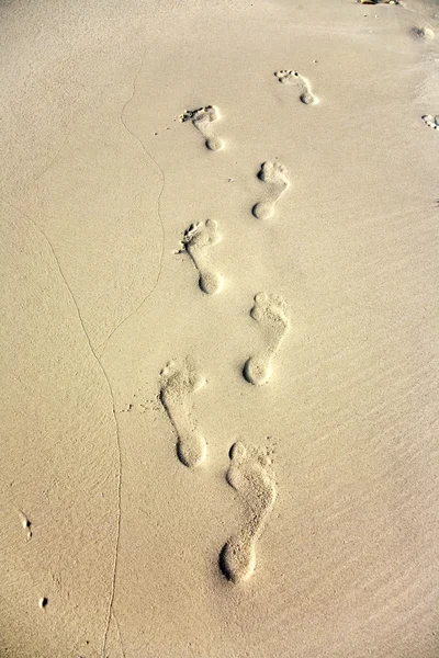 해변에 정밀한 모래에 인간 성인 발자국 — 스톡 사진