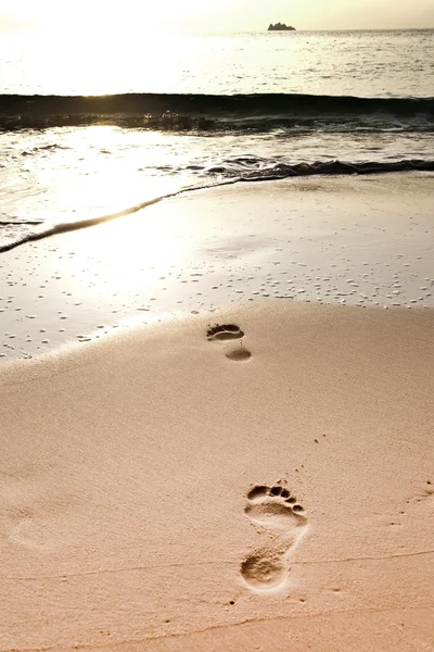 Ludzi dorosłych ślad w piasku na plaży — Zdjęcie stockowe