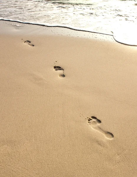Impronta umana degli adulti nella sabbia fine sulla spiaggia — Foto Stock