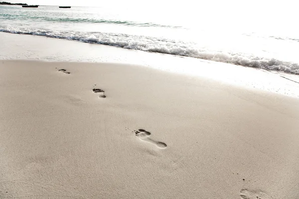 Insan yetişkin yer kaplayan ince kumlu plajda — Stok fotoğraf
