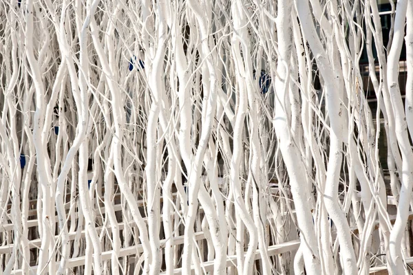 흰색으로 칠 해진 가지들은 조화를 이루는 배경이 된다 — 스톡 사진