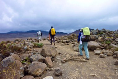 Climbing Mount Kilimanjaro, the highest mountain in Africa (5892m) clipart