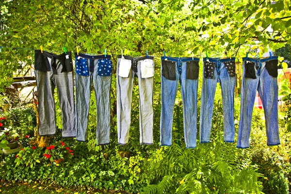 Los pantalones se están secando — Foto de Stock