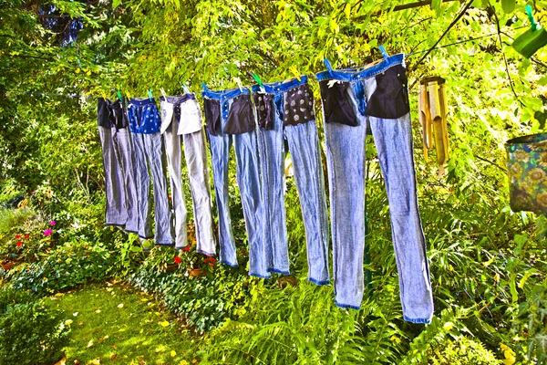 stock image Trousers are drying