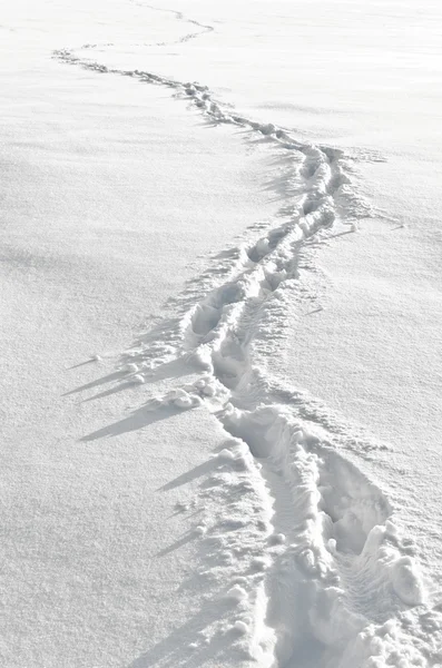 Kroky na sněhu — Stock fotografie