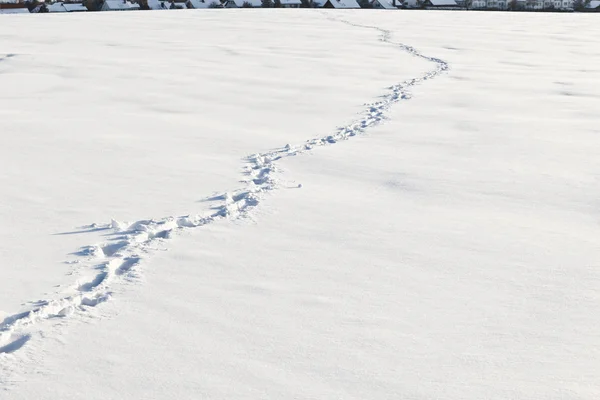 Kroki po śniegu — Zdjęcie stockowe