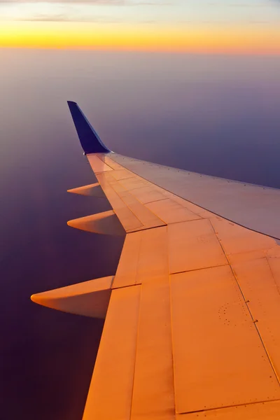 Tragfläche des Flugzeugs — Stockfoto
