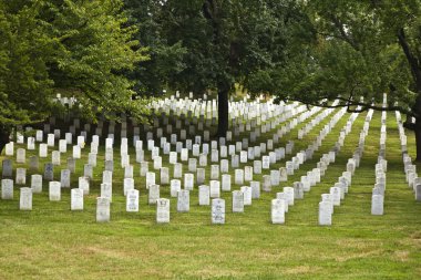 Headstones at the Arlington national Cemetery clipart