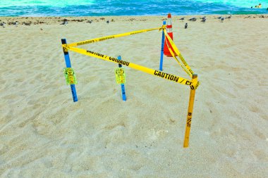 seaturtle net bir bariyer tarafından korunan plajın kumları altında