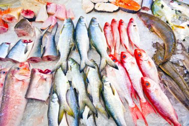 Bütün taze balıkları Asya balık pazarında sunulan