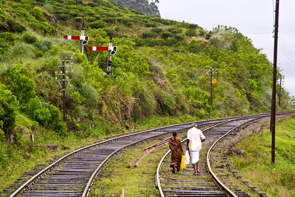 En tren la pintoresca pista de montaña de Nuwarelia a Colombo — Foto de Stock