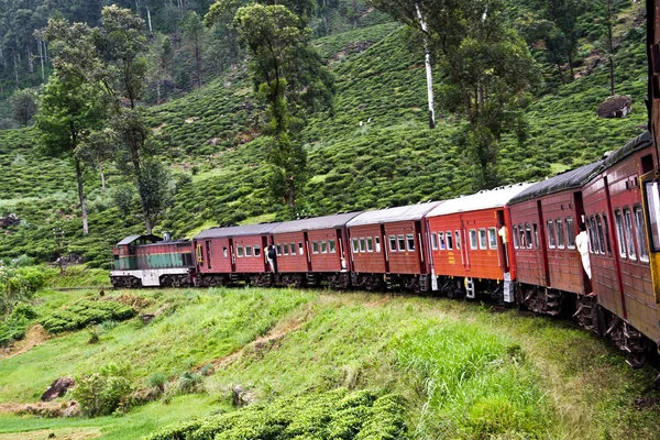 Lovaglás vonattal a festői hegyi úton Nuwarelia Kolumbiába — Stock Fotó