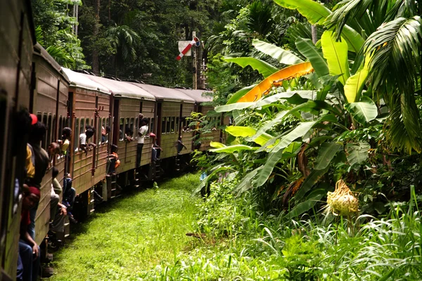 En tren la pintoresca pista de montaña de Nuwarelia a Colombo — Foto de Stock