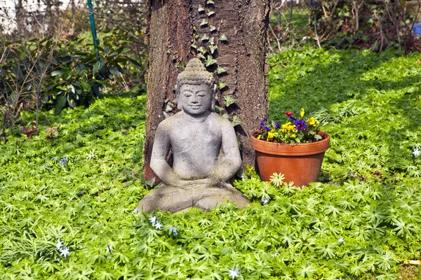 Kámen buddha před třešeň — Stock fotografie