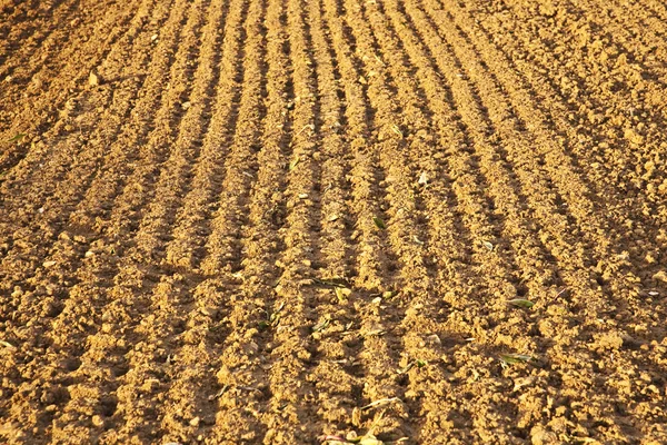 Background of newly plowed field — Stock Photo, Image