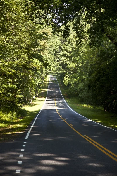 シェナンドア国立公園を通って美しい風光明媚な国道はカーブ — ストック写真