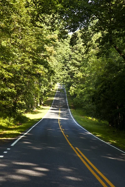 Belle curve panoramiche della strada di campagna attraverso il Parco Nazionale di Shenandoah — Foto Stock