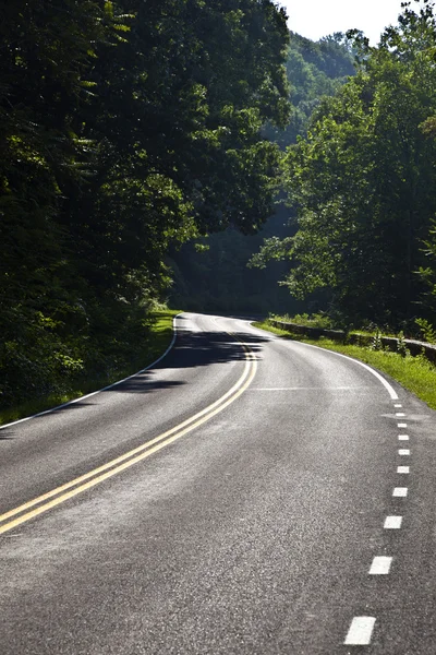 Beautiful scenic country road curves through Shenandoah National Park — Stock Photo, Image