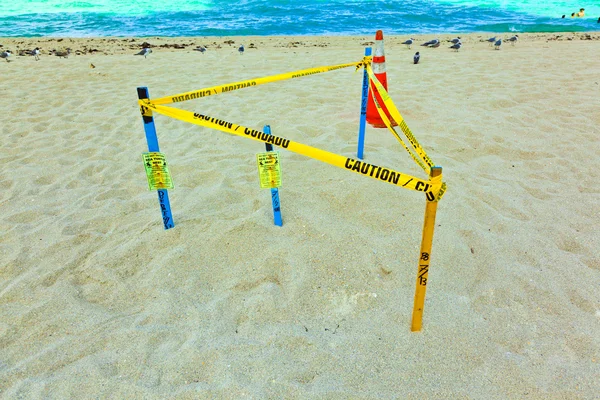 Seaturtle net bir bariyer tarafından korunan plajın kumları altında — Stok fotoğraf