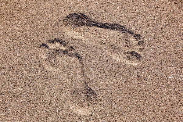 男子在海滩上的脚印 — 图库照片