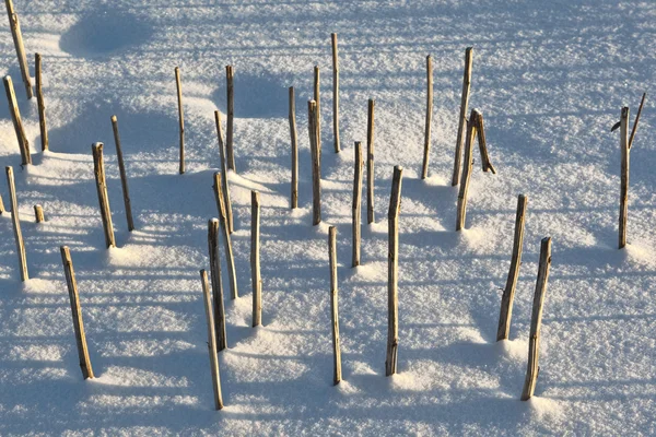 Sombra de halm no campo coberto de neve — Fotografia de Stock