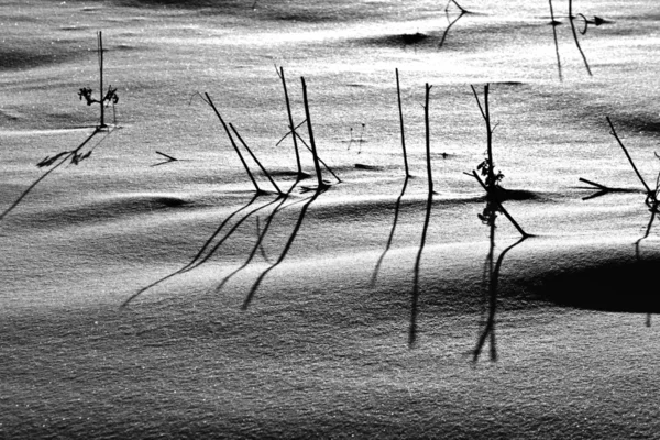 Sombra de halm en el campo cubierto de nieve — Foto de Stock