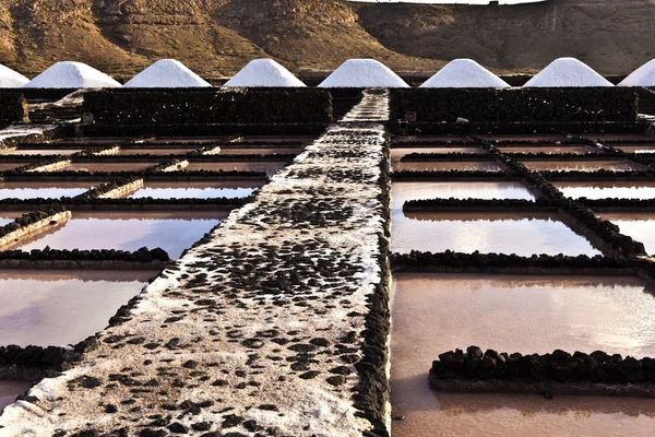 Raffinerie de sel, Saline de Janubio, Lanzarote — Photo