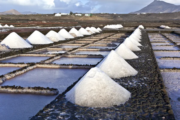 Raffinerie de sel, Saline de Janubio, Lanzarote — Photo