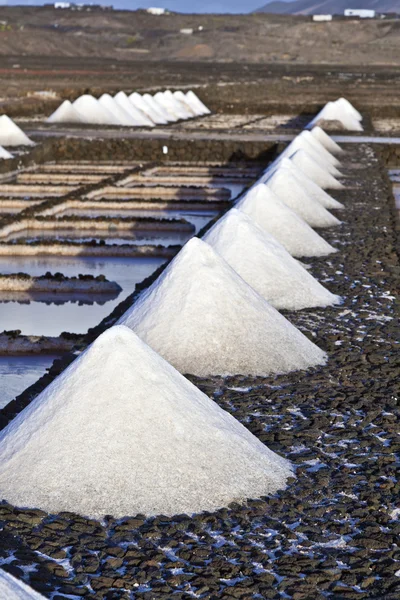 Salt refinery, Saline from Janubio, Lanzarote — Stock Photo, Image