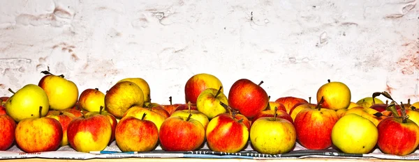 Las manzanas se almacenan en el sótano — Foto de Stock