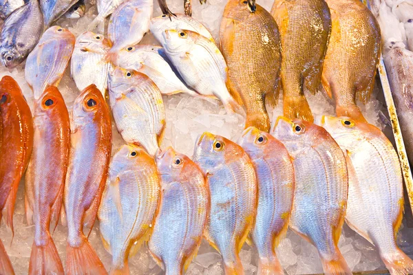Peces frescos enteros se ofrecen en el mercado de pescado en Asia —  Fotos de Stock
