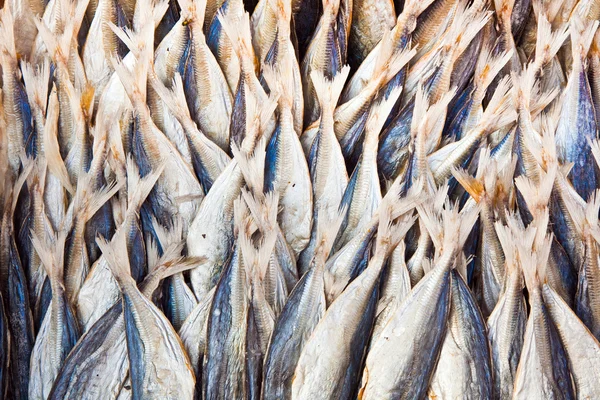 市場で干し魚 — ストック写真