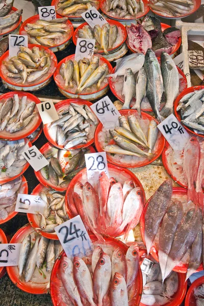市面鲜鱼 — 图库照片