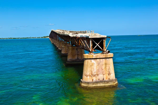 Old Railroad Bridge sur la Bahia Honda Key dans les clés Floride — Photo