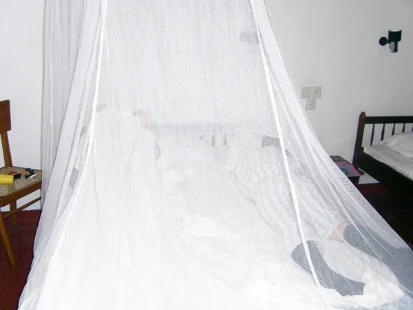 Pojkarna sover unter en moskito netto — Stockfoto
