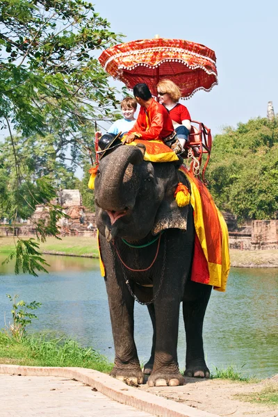Turistas en un paseo elefante en Ajutthaja —  Fotos de Stock