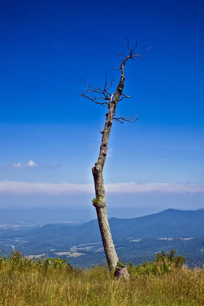 Beautiful view of the popular Blue Ridge Mountain in Shenandoah — Stock Photo, Image