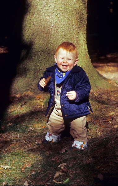 Junge genießt Spaziergänge im Wald — Stockfoto