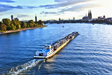 Freight ship on river Rhine by Cologne clipart