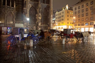 stefansplatz Viyana'nın kalbinde, at temelli taşıma