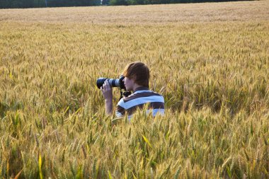 Boy taking pictures with tripod of leaves in the corn field clipart