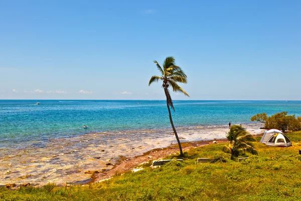 아름 다운 아름 다운 해변과 palmes와 키에 맑은 물 — 스톡 사진