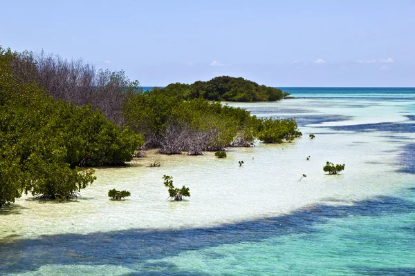 Güzel doğal plajları ve temiz su ile palmes anahtarlarında — Stok fotoğraf