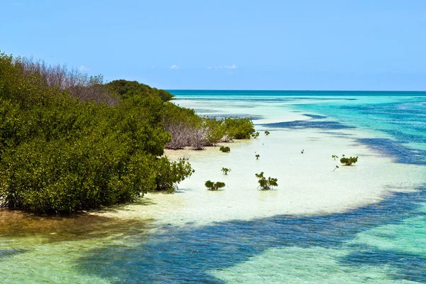 Belas praias cênicas e água limpa nas Chaves com palmas — Fotografia de Stock