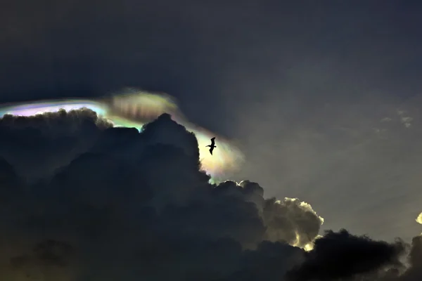 Hermoso cielo con nubes y reflejos de luz prisma colorido — Foto de Stock