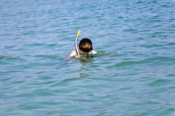 Joven chico le gusta bucear en el agua clara — Foto de Stock