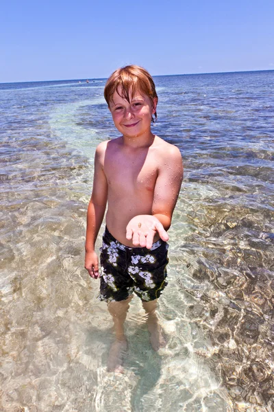 Kind aan te tonen een kleine shell op zijn hand — Stockfoto