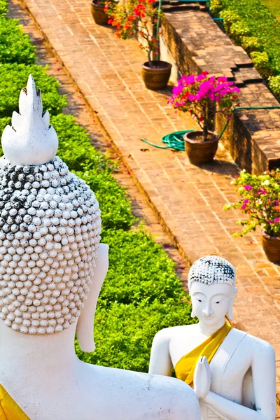 Mooie standbeeld van Boeddha's in de tempel wat yai chai mongkol — Stockfoto