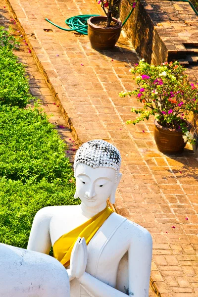 Bela estátua de Budas no templo Wat Yai Chai Mongkol — Fotografia de Stock