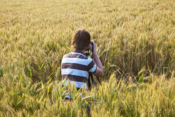 Boy taking pictures with tripod of leaves in the corn field — Stock Photo, Image